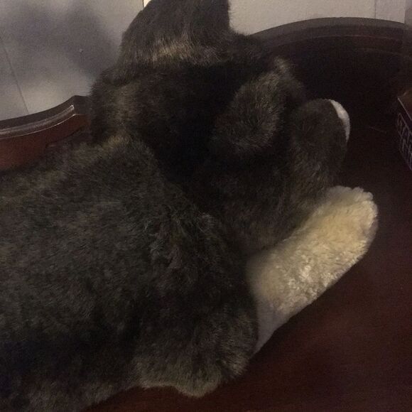 TY Husky Beanie Buddy  2003 - Picture 7 of 10